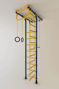 Детский спортивный комплекс ДСК "Лидер-А" Т-образный (Синий/Жёлтый, до 3,5 м., Обычный, Металл, Металл)