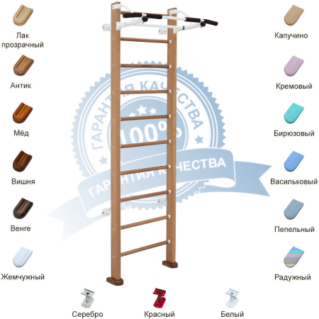 Детский спортивный комплекс ДСК Карусель Dolf (пристеночный)