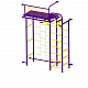 картинка Детский спортивный комплекс ДСК "Пионер 10 лестница" пурпурный-желтый от магазина Лазалка